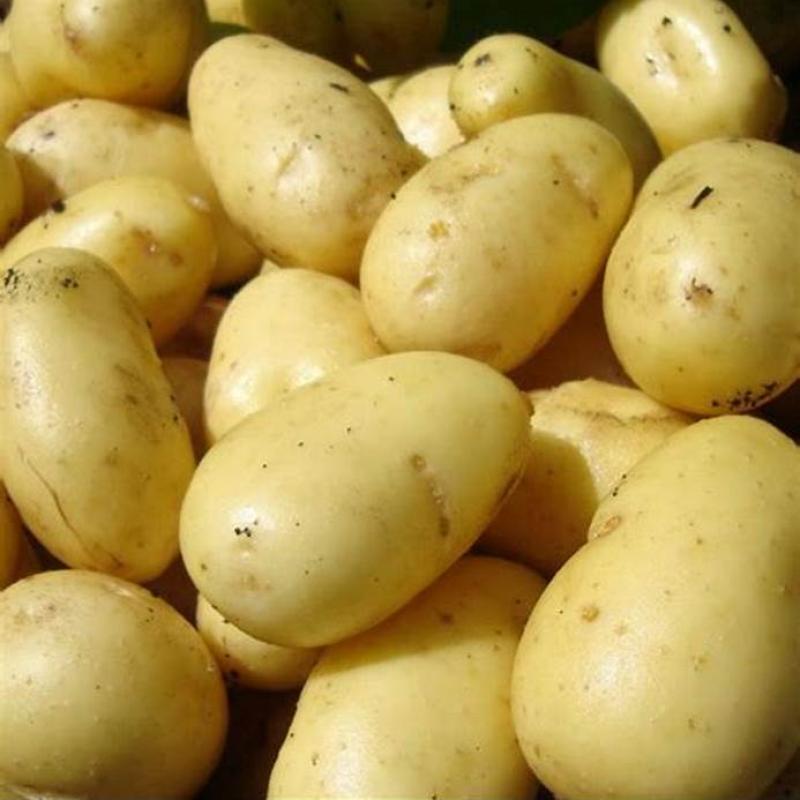 Potato (1kg)